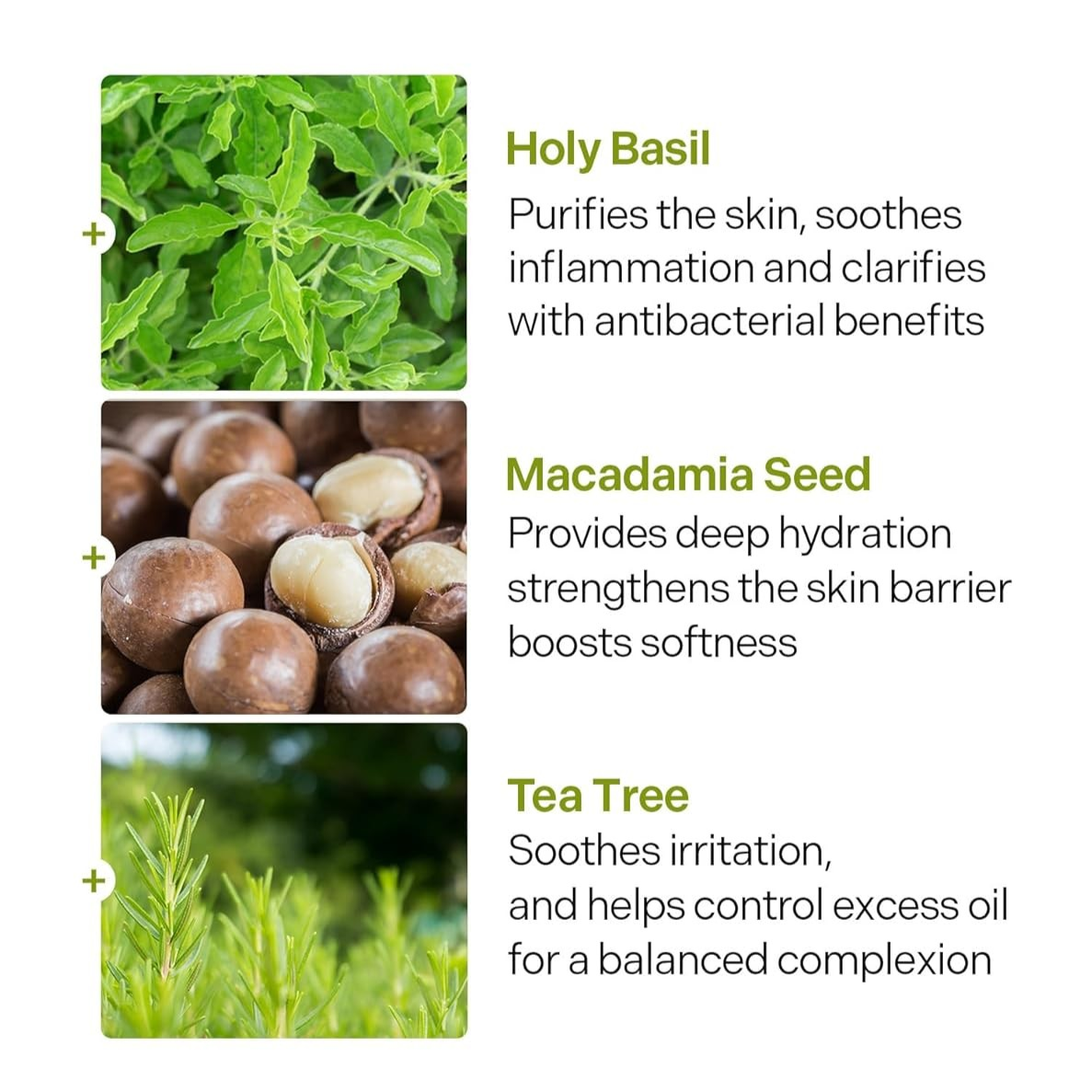 P.CALM UnderPore Holy Basil Cleansing Oil 190ml